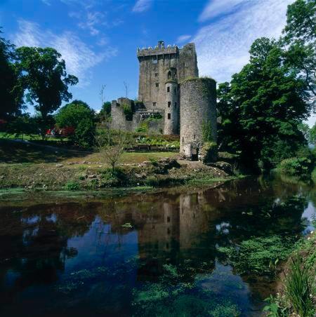 Lanesville B&B Blarney Kültér fotó